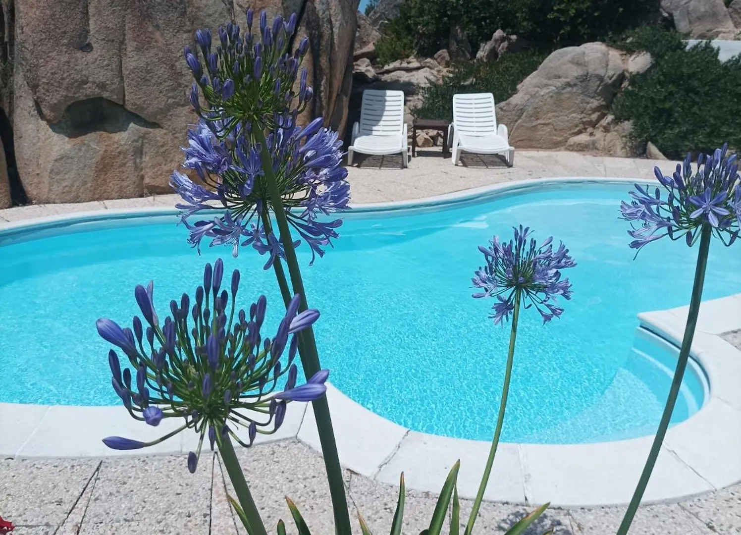 Villa Majore Beb Con Piscina Privata Rena Majore